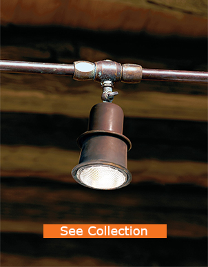 multi-ap-spot Cat photoshop